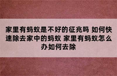 家里有蚂蚁是不好的征兆吗 如何快速除去家中的蚂蚁 家里有蚂蚁怎么办如何去除